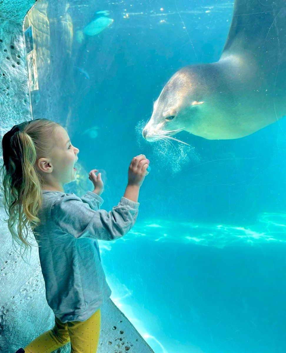 Treat Mom to a special #MothersDay Brunch at @LIaquarium ! 🐬🌊 #discoverlongisland This Sunday, May 12th, enjoy a delicious meal in their Sea Star Ballroom, complete with all-day admission to explore the Aquarium for a day of family fun! discoverlongisland.com/listing/long-i…