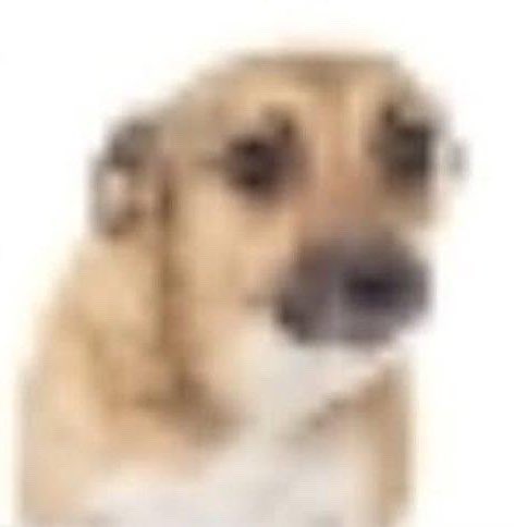 quero notícias da minha loiry