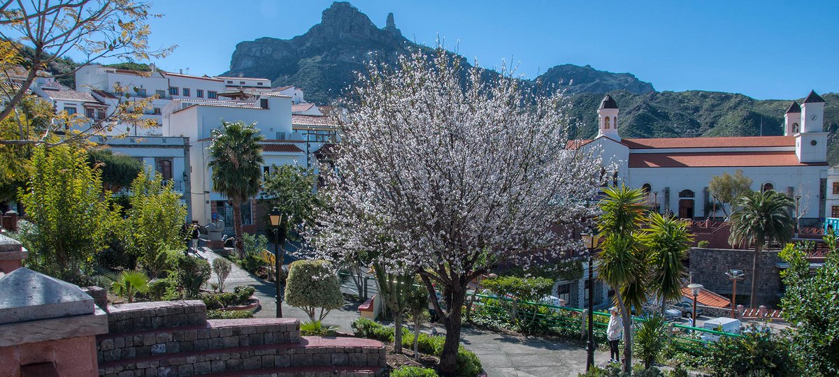 ¡Celebra la llegada de la primavera con la Fiesta del Almendro en Flor Tejada! Disfruta de la belleza de los campos en flor, música, comida y tradiciones locales. ¡Una experiencia que no te puedes perder! 🌸🎉 🌺👉 bit.ly/4aJdSHi #TeMerecesEspaña #GranCanaria