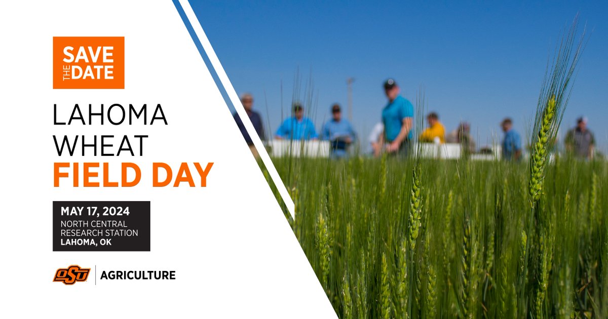 Join OSU Agriculture experts as they discuss the latest research on wheat varieties, fertility, pest treatment and more. Register for free by May 12 for your chance to win a prize! ➡️ okla.st/3y9dX8F