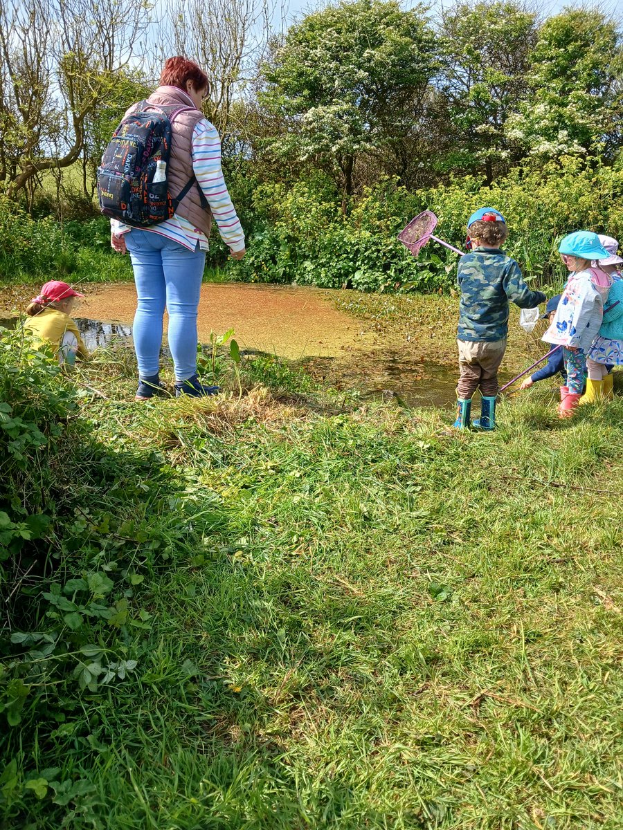 Sunny pond dipping  with godolphin school