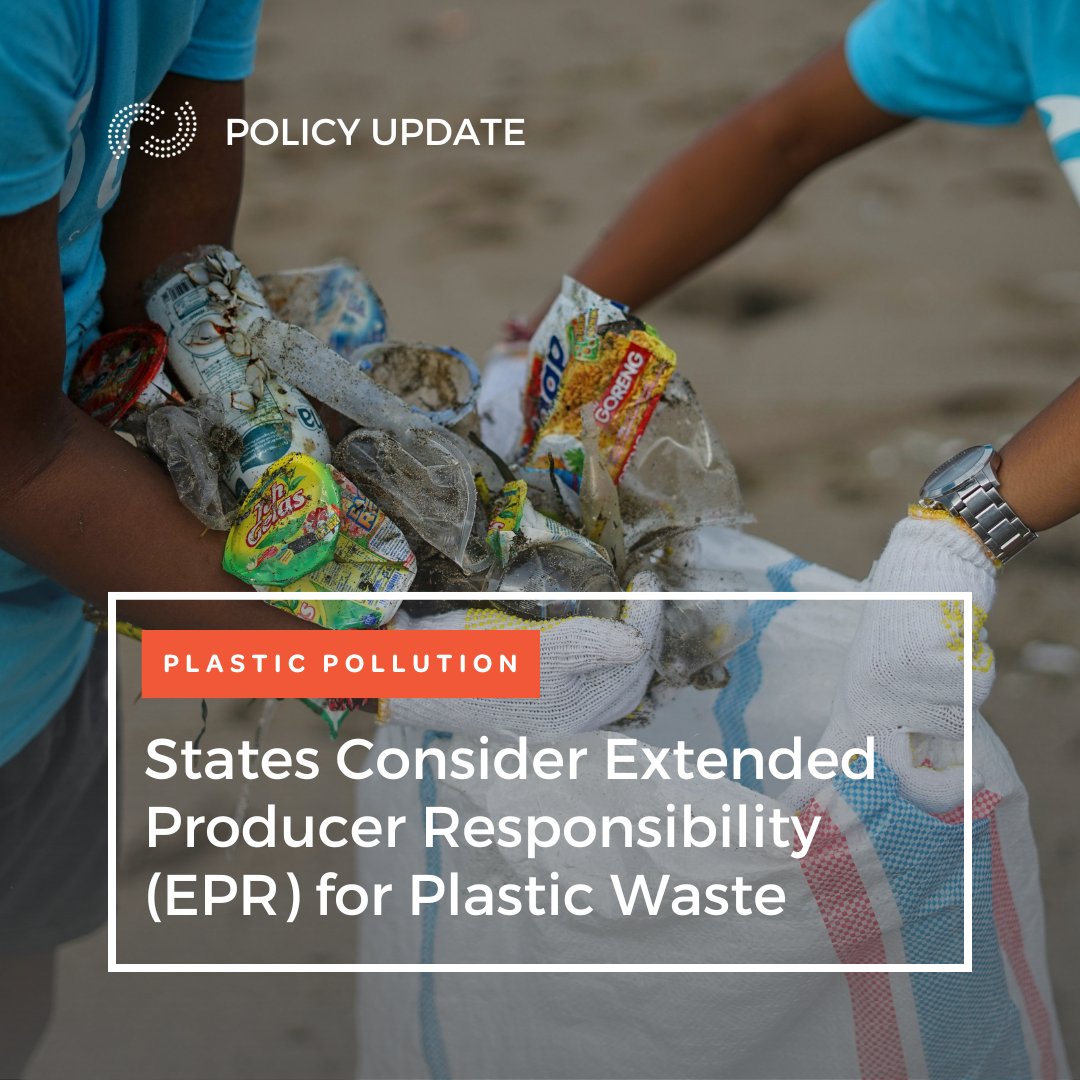 The US recycles only 5% of plastics, with most ending up in landfills, incinerated, or released into the environment. States are turning to EPR to hold producers accountable. Learn more about the 11 states considering legislation: ncelenviro.org/articles/produ…
