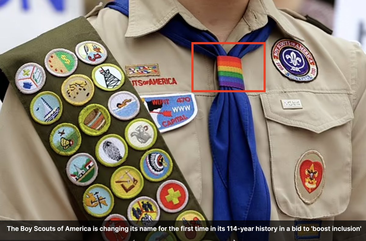 Boy Scouts of America will officially change its name to Scouting America to 'boost inclusion'. Girl Scouts will continue as normal. There goes another male space to the satanic agenda.