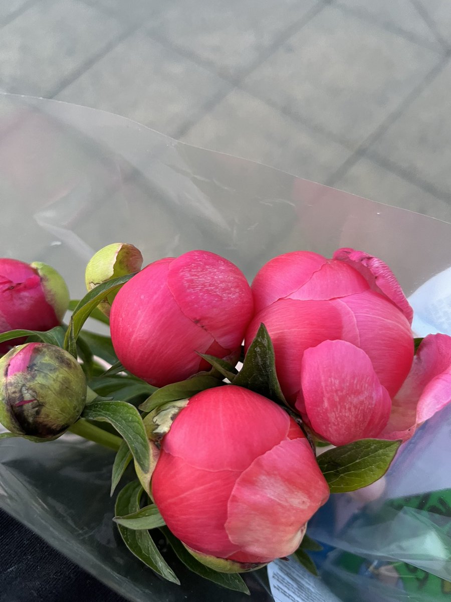 Anyone else like an early evening trip to the supermarket to get out of the house? I went to post a Vinted parcel, but couldn’t leave without these peonies 🩷