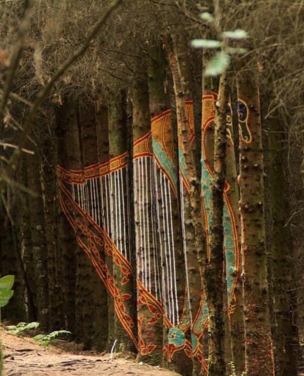IrelandTrails's tweet photo. Derryounce Lakes and Trails Portarlington. @visitoffaly @Failte_Ireland @offalycoco @tourism_laois https://t.co/lJo6X6J8Qh