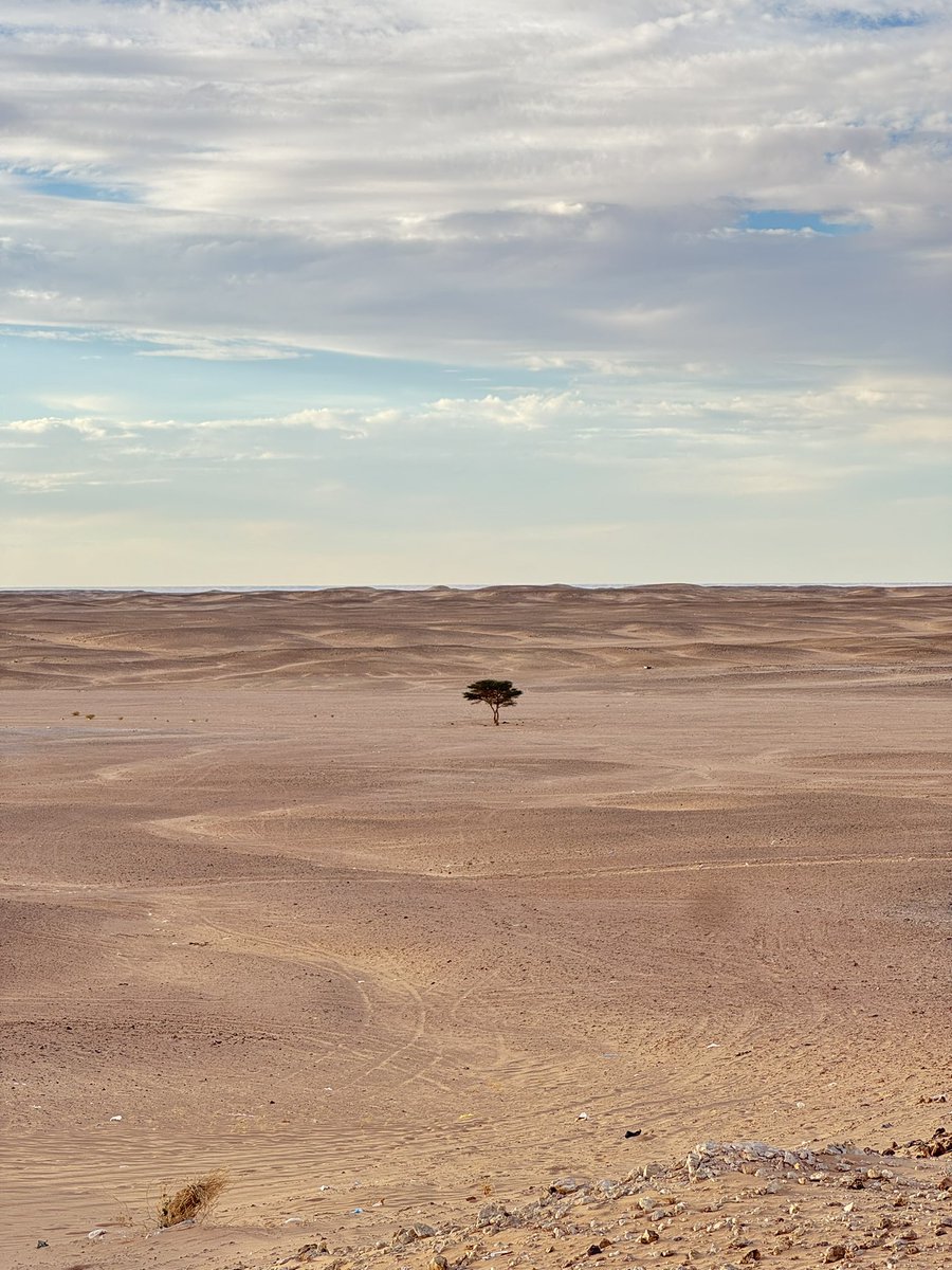 Apreciación de las dunas del Sáhara (y de mi culo xd)