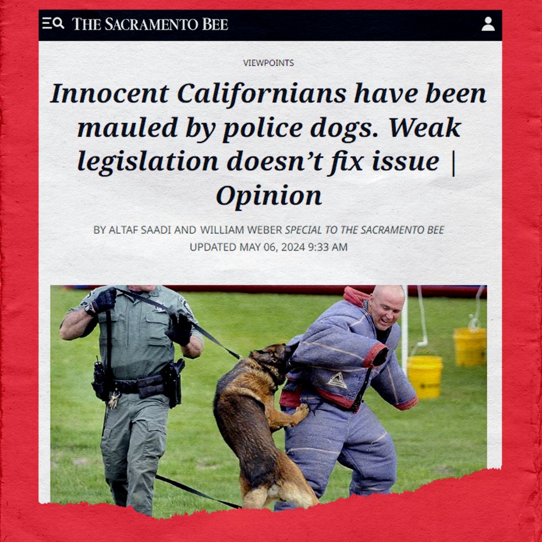 Doctors know: Police attack dogs are a dangerous use of force, and the California Legislature must regulate them. And it should be #CALeg – not the police lobby – who must write the restrictions into law. Vote NO on AB 3241 & AB 2042. 🔗Op-ed by @P4HR: sacbee.com/opinion/op-ed/…