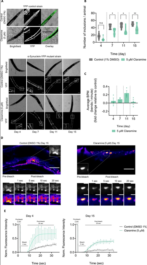 The Science of Parkinson's (@scienceofpd) on Twitter photo The man, the myth, the legend: <a href="/StoDada/">Samuel Dada</a> just published a paper with <a href="/VendruscoloLab/">Vendruscolo Lab</a> & <a href="/ChemCambridge/">Cambridge Chemistry</a> colleagues demonstrating a possible therapeutic route for #Parkinsons based on the inhibition of alpha synuclein protein aggregation within condensates
nature.com/articles/s4146… The man, the myth, the legend: <a href="/StoDada/">Samuel Dada</a> just published a paper with <a href="/VendruscoloLab/">Vendruscolo Lab</a> & <a href="/ChemCambridge/">Cambridge Chemistry</a> colleagues demonstrating a possible therapeutic route for #Parkinsons based on the inhibition of alpha synuclein protein aggregation within condensates
nature.com/articles/s4146…