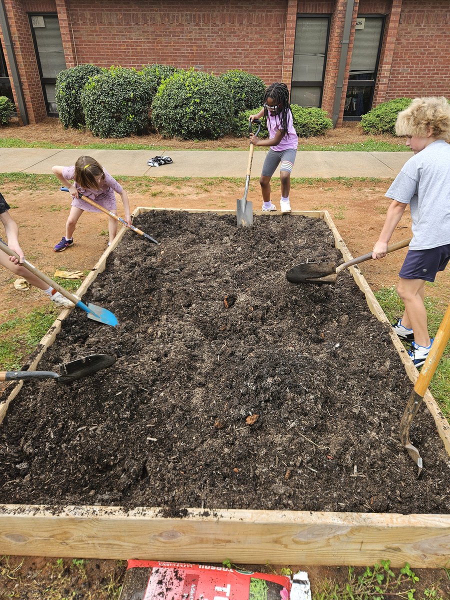 Planted our last 3 garden beds @Kempcougars can't wait to have watermelon ready when we get back to school! @cobbscience