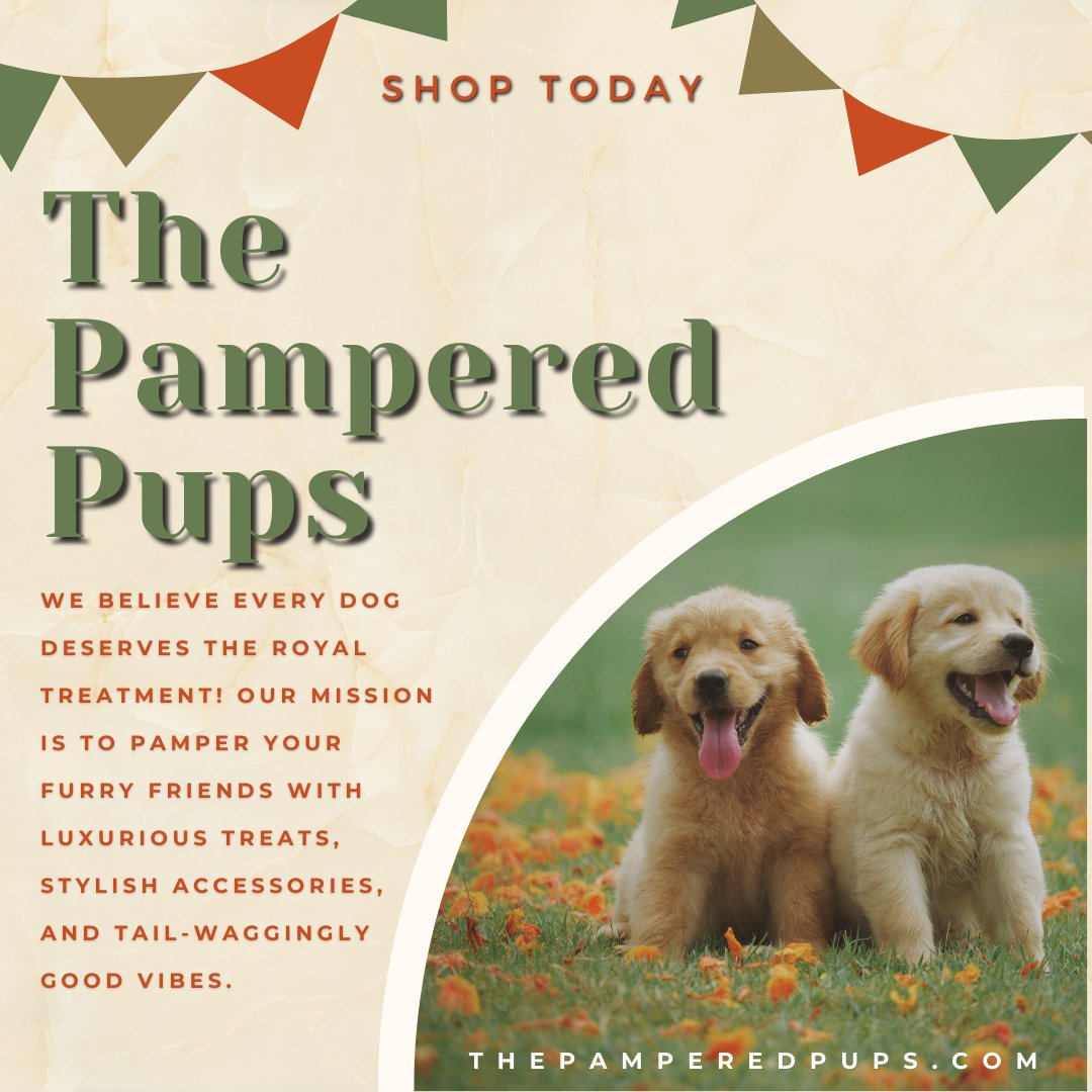 Exciting News! Our Grand Opening is here!

Dive into our doggy wonderland filled with tail-wagging delights. Let's celebrate together with paw-some products and endless fun! 

#GrandOpening #dogs #dog #puppies #puppy #fun #toys #adventure #shoptoday #leashes #foods #tips #DIY