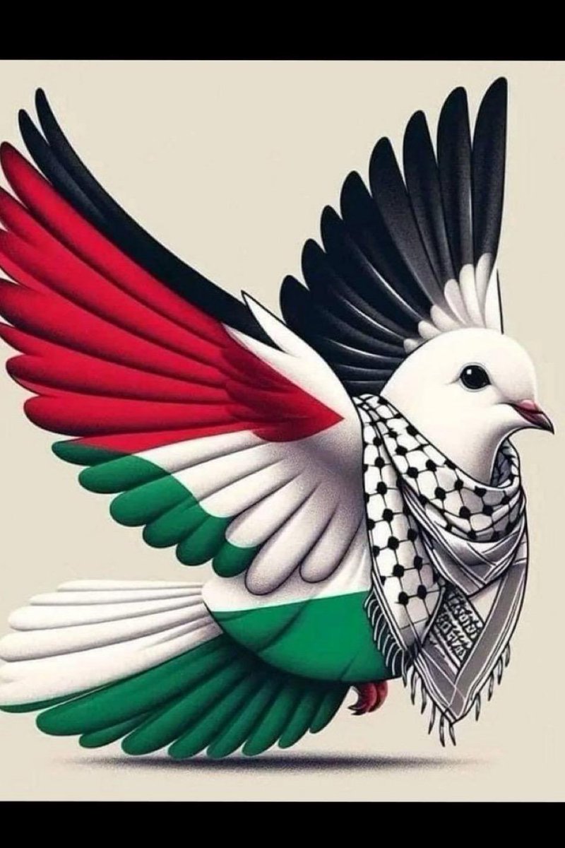 Mazlumların güldüğü ve zalimlerin ağladığı günlere tez vakitte ulaşmak duasıyla...

#getoutofrafah 
#Palestine_Genocide 
#HumanityForAll