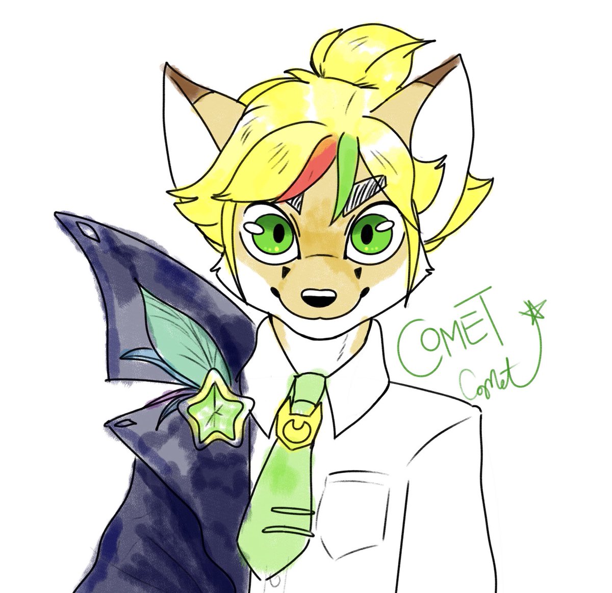 Comet Evergreen!💚🌠
I rly like designing fox boy idols huehuehue 
He likes helping in the kitchen, playing piano and cycling òwó