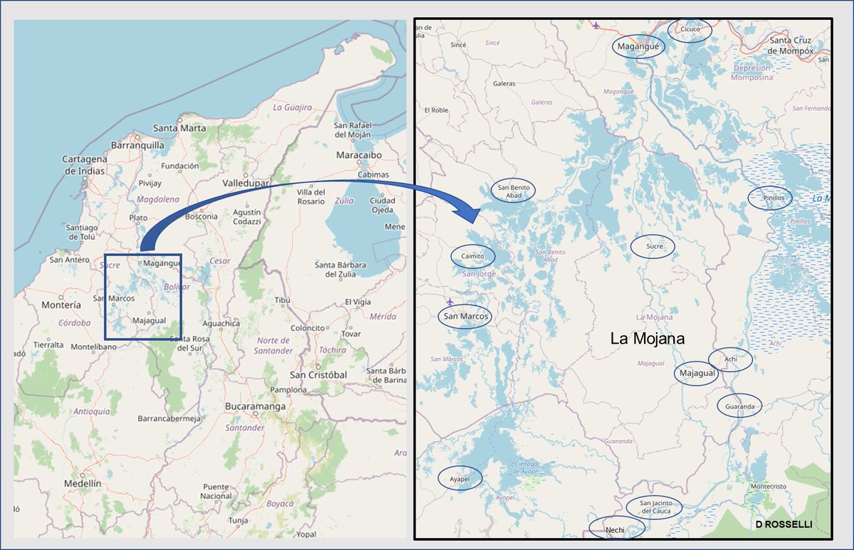 LA MOJANA

Allá en el corazón de la Región Caribe, en donde confluyen el río Cauca, que viene de Antioquia (Caucasia y Nechí), el río San Jorge, que atraviesa el sur de Córdoba y Sucre, y el Brazo de Loba del río Magdalena está La Mojana. Aquí el mapa para que se ubiquen: (1/9)🧵