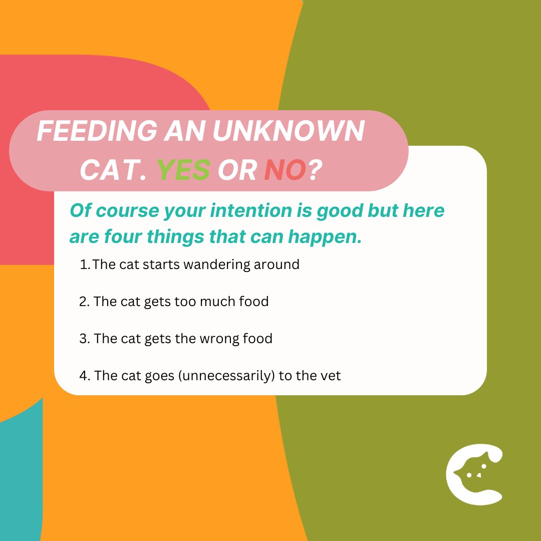 🚫 Think twice before feeding stray cats in your neighborhood! 🐾 While it may seem like a kind gesture, it can lead to unintended consequences. Let's ensure every kitty gets the right care they deserve! 🐱💕 #CatCare #ResponsibleFeeding #NeighborhoodCats