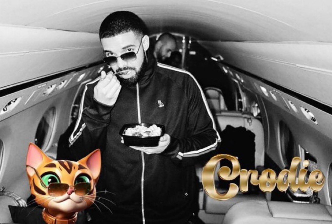 The Drake beef is sending $CRODIE to 100M with haste… Crodie, are you riding, do you love me? 😂
