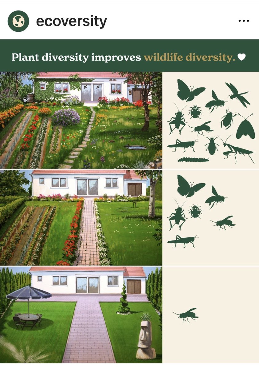 BallybodenTT's tweet image. Let’s explain this in pictures with help from #Ecoversity. 

We will #tidy ourselves out of existence #tidytowns #biodiversity 
@TidyTownsIre
