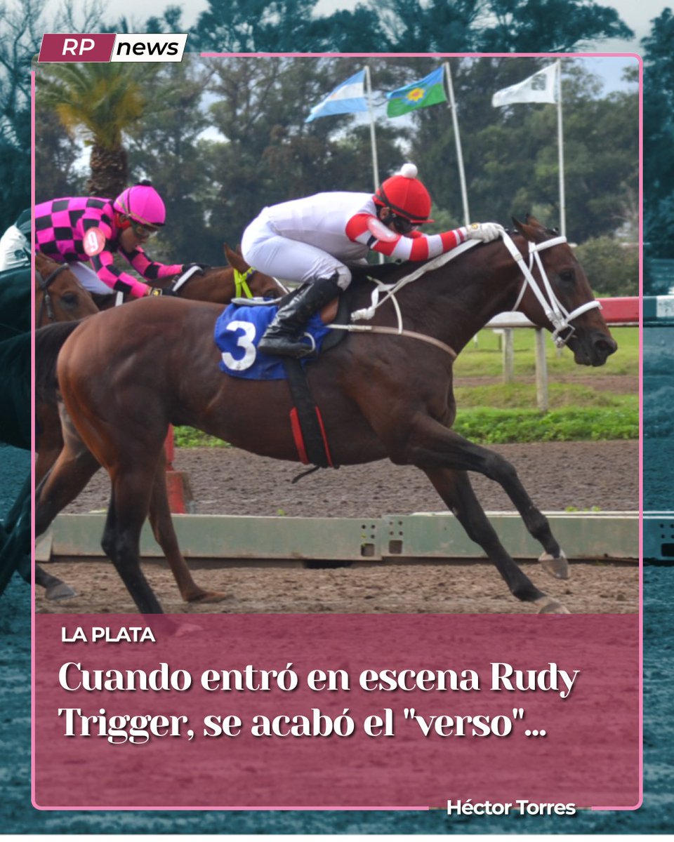 Revista Palermo tweet media