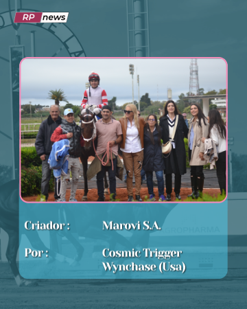 Revista Palermo tweet media