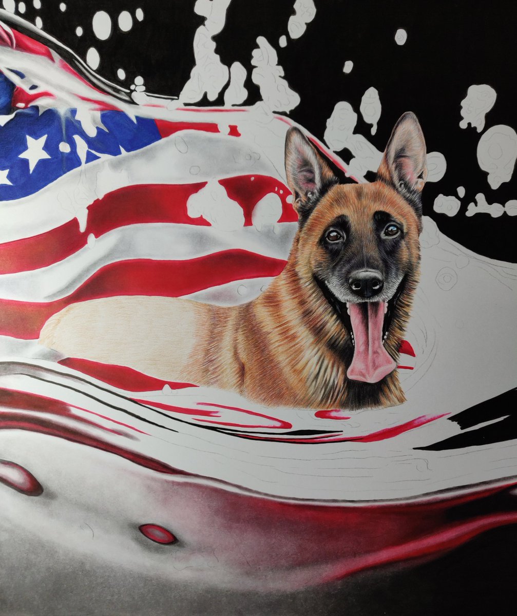 NikiFirmin's tweet image. Happy Tuesday all!

K-9 hero Bico appearing from the page in my latest memorial portrait for @ProjectK9Hero 
 🌈💙🐕‍🦺🐾x

#workingdogs #k9heroes #policedog #memories #memorialportrait #art #artwork #artist