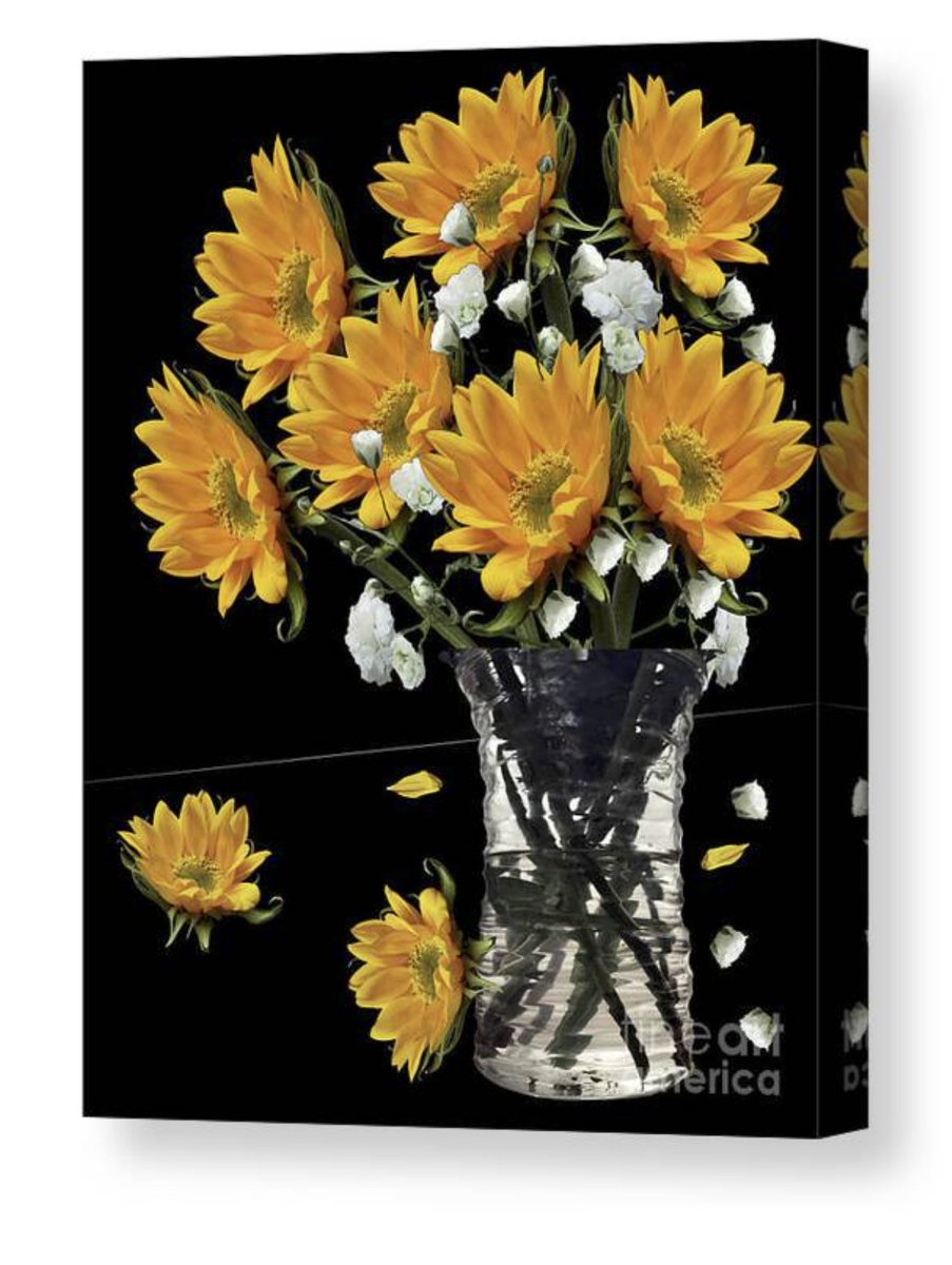 SUNFLOWERS 2a By; Catalina Walker Check out this canvas print on catalina-walker.pixels.com! catalina-walker.pixels.com/featured/sunfl… #british #Canvas-print #Iphone-cases #Towels #Home #Wall-Art #gifts #T- Shirts
