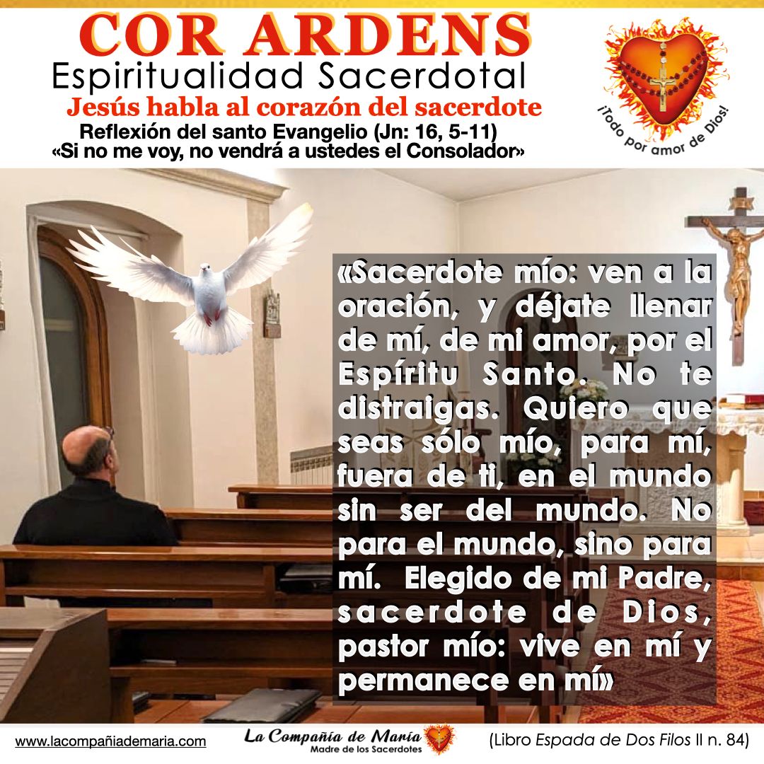 Oramos por todos los sacerdotes, para que la Palabra de Dios, que es como espada de dos filos, haga arder sus corazones. 🙏 #sacerdote #iglesiacatolica #lacompañiademaria #evangelio #oracion #maternidadespiritual @IglesiaMexico @ArquidiocesisT