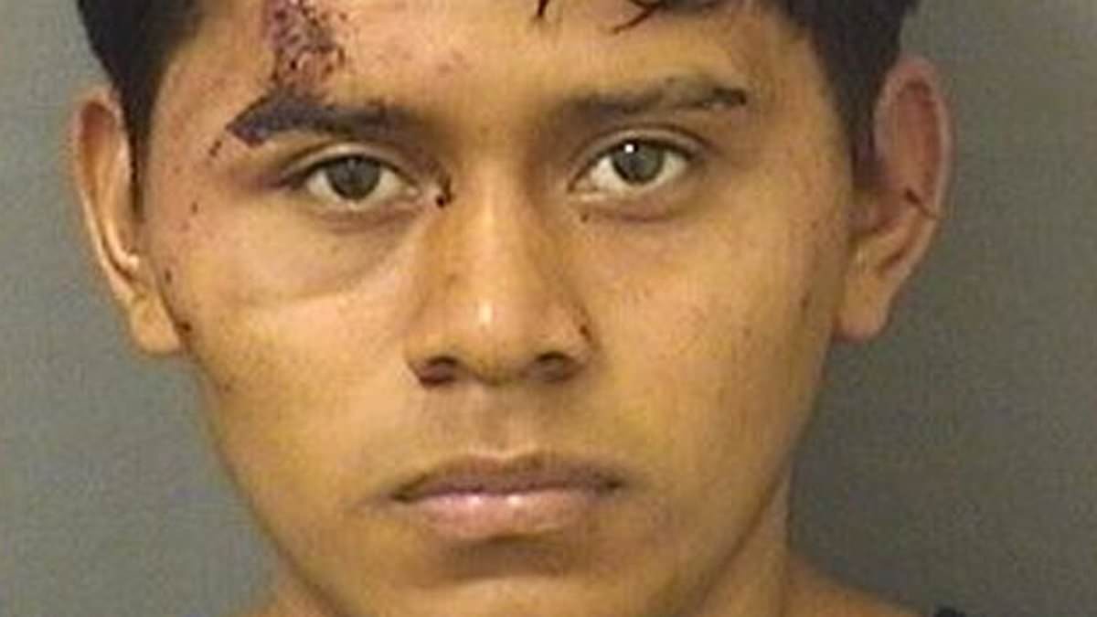 The Daily ILLEGAL DREAMER Crime Report........ Newly arrived illegal immigrant kidnaps an 11-year-old girl and rapes her in his white van as her mother screams for help outside trib.al/EOkjz3U