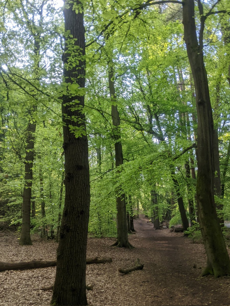 KatieThiselton's tweet photo. I don't take for granted how lucky I am to be able to run where I do. This was tonight's trail. Nothing quite as cathartic as to be out in the woods or on the canal watching the seasons change.   #smallthings #runchat #spring https://t.co/LBiq47S8HT
