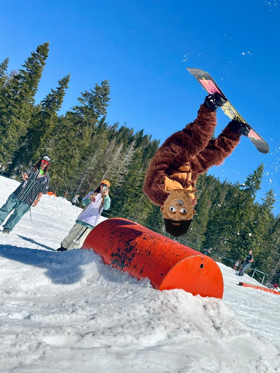 ShreddingSassy tweet picture