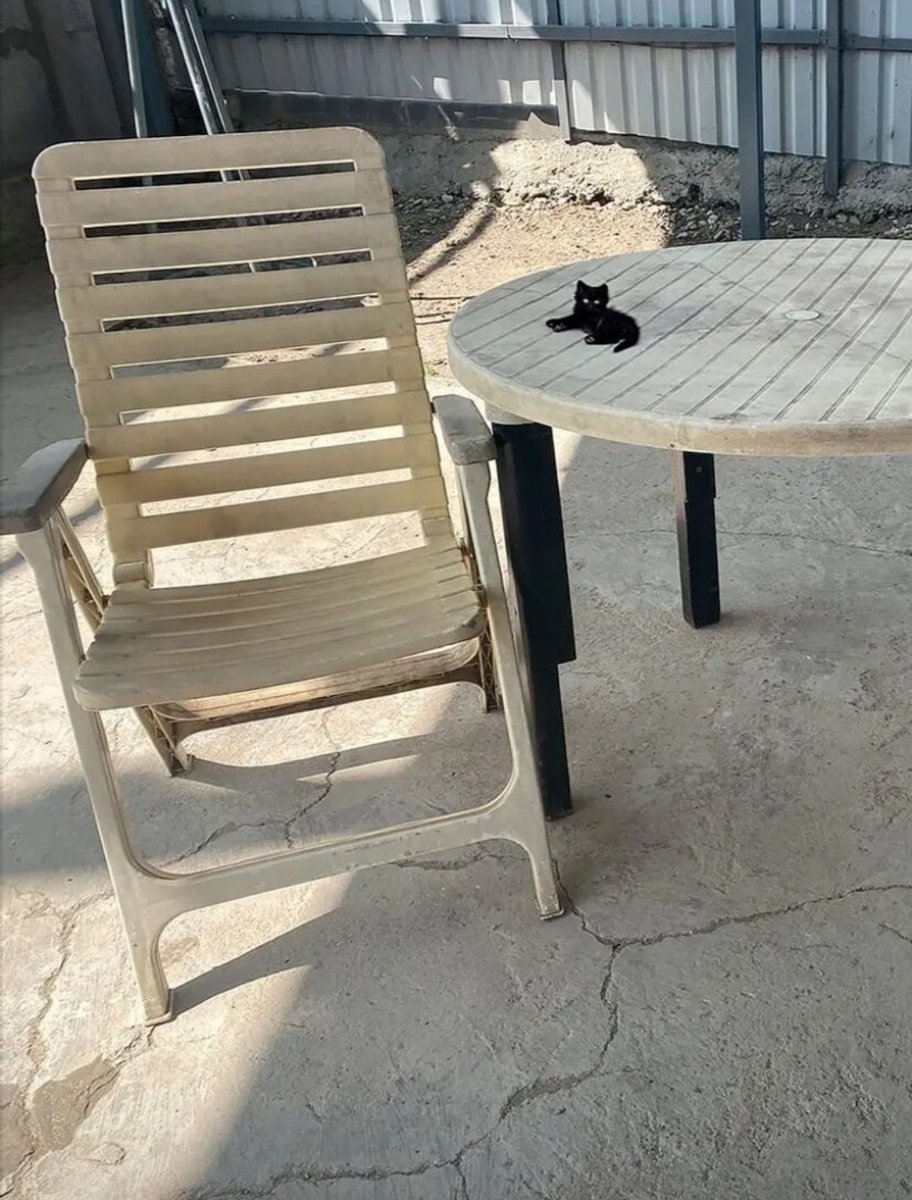 ```
Enjoying the serene outdoor setting with a cozy wooden chair, weathered table, and a curious black cat. Life's simple pleasures.  #OutdoorLiving #CatLover #NaturePhotography
```