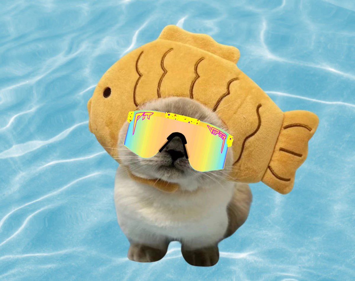 CatFish Solana tweet media