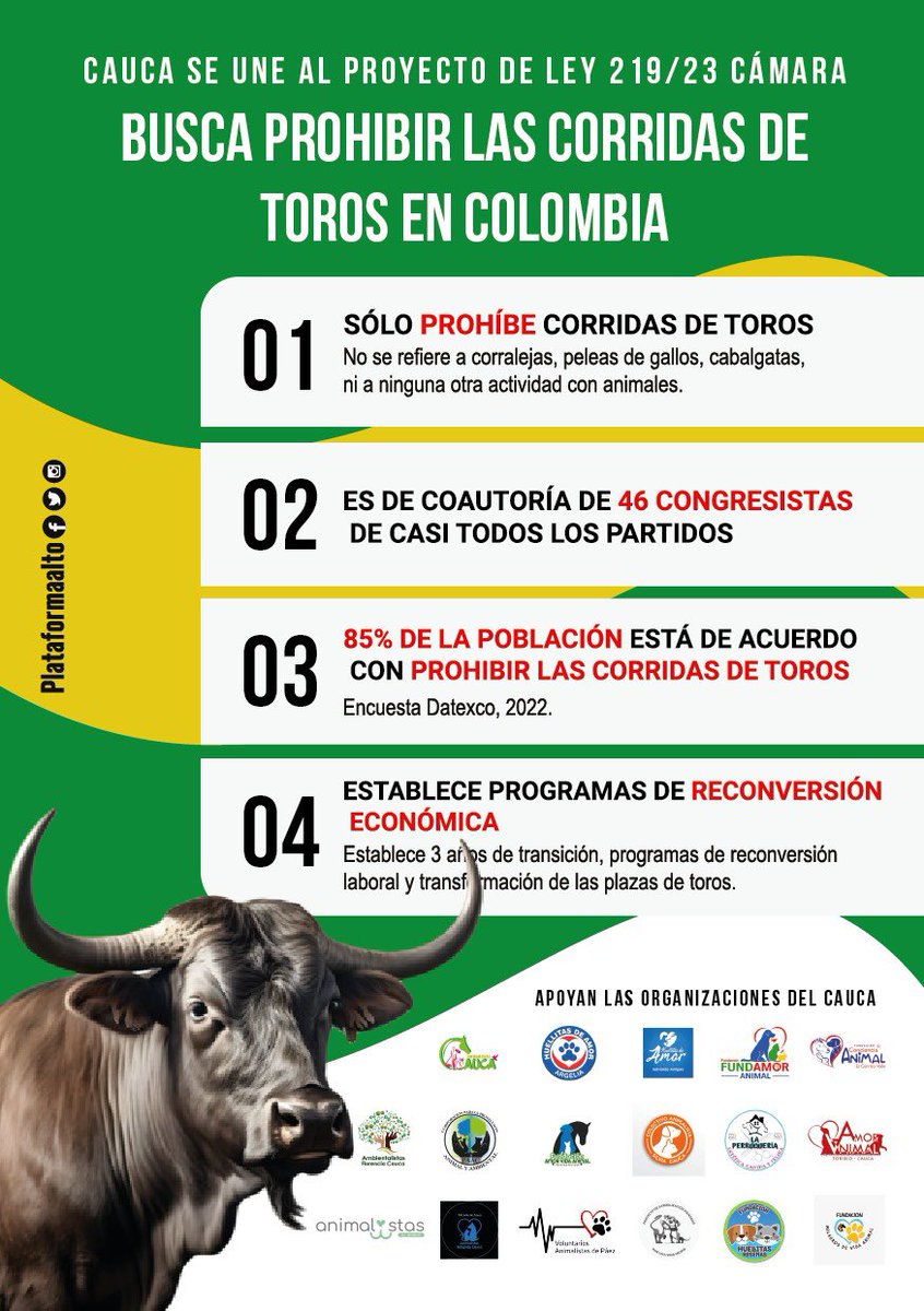 AnimalistaCauca's tweet photo. La tauromaquia no es arte ni cultura. Es una forma de violencia que no tiene justificación. Aprobación HOY en la @CamaraColombia 
Contamos con su voto positivo @Jorge_BastidasR @PeteErmes @CesarCristianGo @1oscarcampo @juanpablorepre https://t.co/RbB6goCLfT