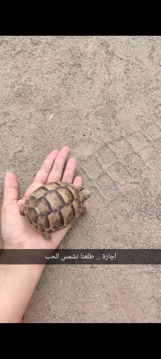 Po_355's tweet photo. #قلبي_يحب_فطوم
حبيبتي فطوم😞♥️ https://t.co/EU0tZ8eKv7