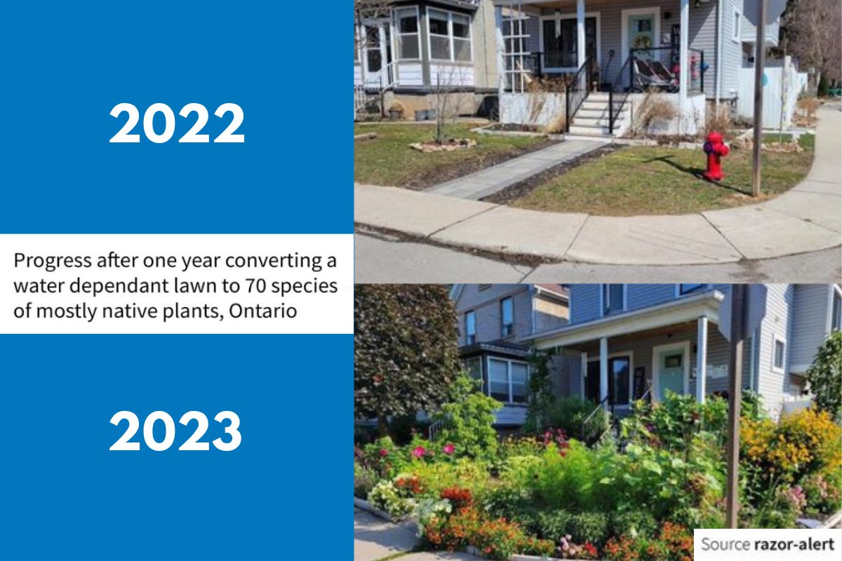 My Climate Plan tweet media