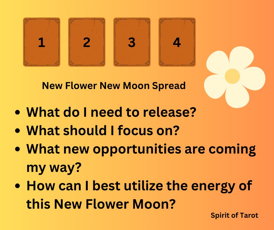 Here's a quick 4-card spread for the New Moon. Enjoy! 
#tarotreading  #tarotspread  #newmoon  thespiritoftarot.com