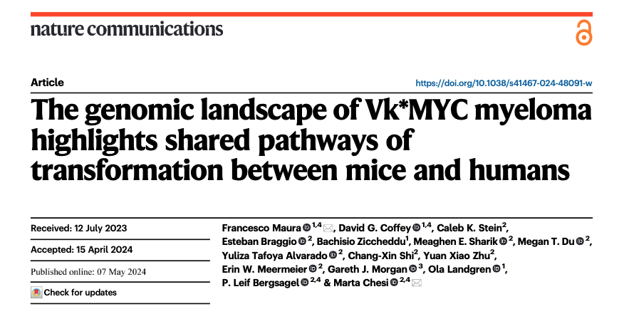 New paper out in today @NatureComms! 🎉🎉With @MayoClinic @univmiami @SylvesterCancer @Leif_Bergsagel, Marta Chesi, Coffey D we integrated #wgs #scrna to show how Vk*MYC Mouse genomic evolution mimics the one observed in human myeloma #mmsm (1/xx) 🧵👇
