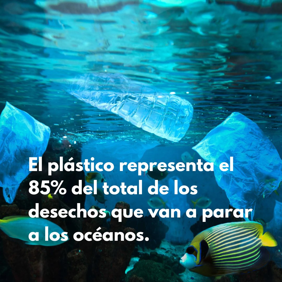Brely Pabon tweet media