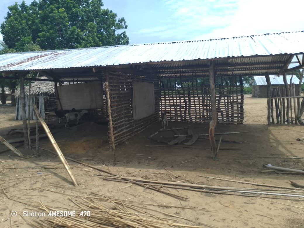 AimKazika's tweet photo. #Kwango ou #Congo profond, l'état des écoles primaires laisse à désirer. Ici lors de notre descente de terrain au village #Tembe à 45 Km de #Kenge dans la province du Kwango. https://t.co/BKCQg8CqyW