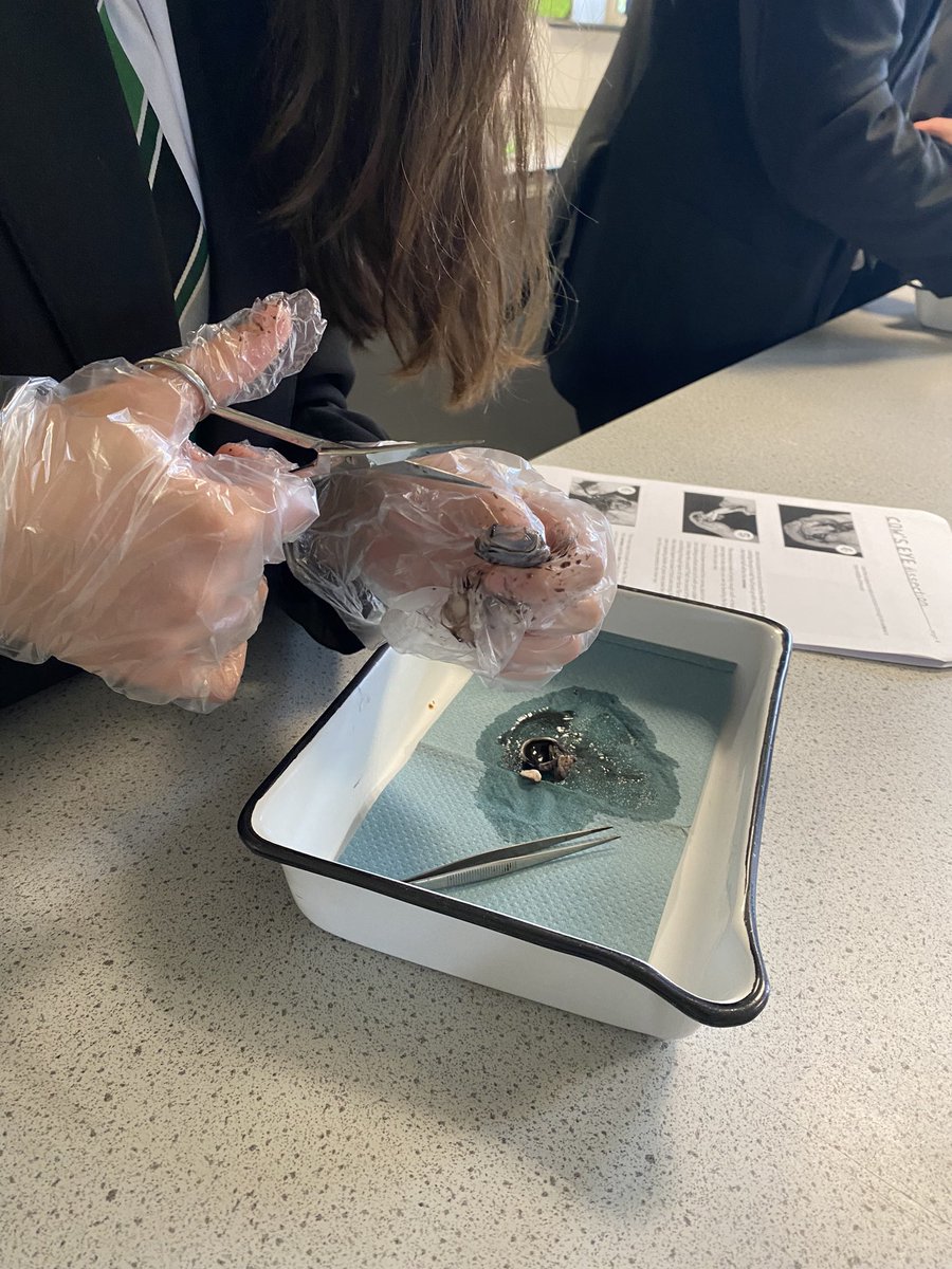 Great eye dissection from year 10 separate biologists this afternoon @LuttHigh