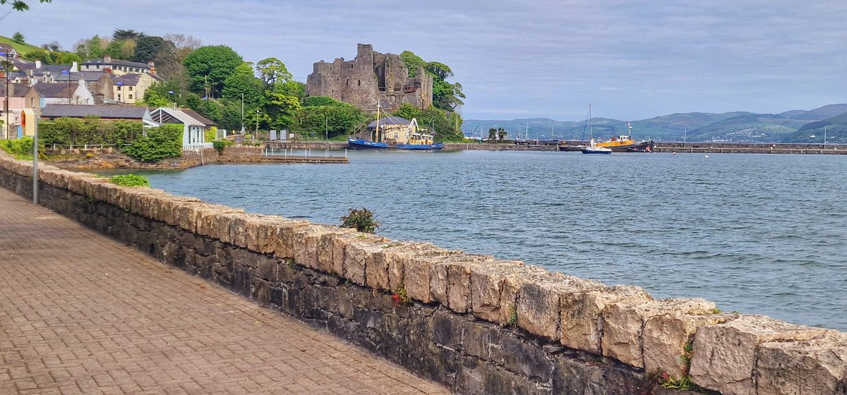 Carlingford and Greer's Quay this morning @bbcniweather @angie_weather @WeatherCee @barrabest @linzilima @geoff_maskell @lindahughesmet @Ailser99 @MCMarieB @CarolN657 @CarlingfordIRE @laneyupthehill @StephMT86 @MissEllieN @VisitLouthIE