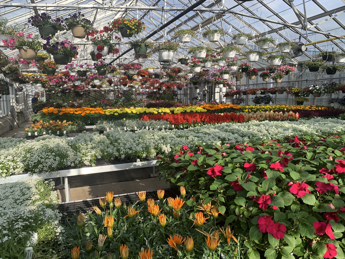 Ohio State ATI Greenhouse Program tweet media