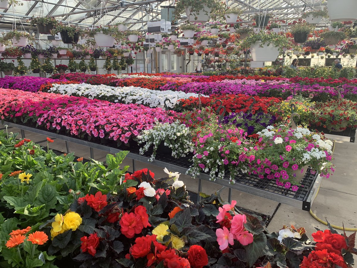 Ohio State ATI Greenhouse Program tweet media