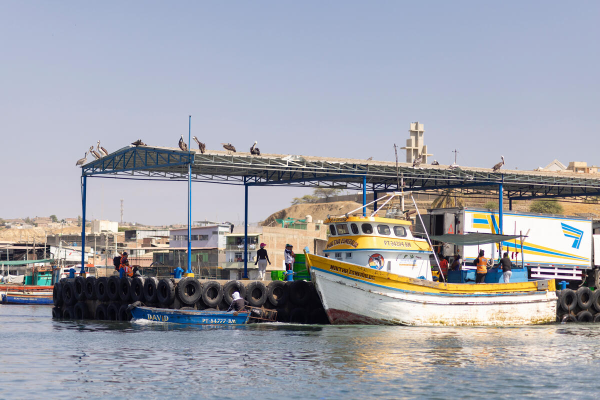 In September 2023, WWF Peru shared insights with the Conservation Measures Partnership on digitizing fishing catch certificates, a crucial step to address illegal,  unreported, and unregulated (#IUU) fishing. 

This blog shares learning from their work:  worldwildlife.org/pages/tnrc-blo…