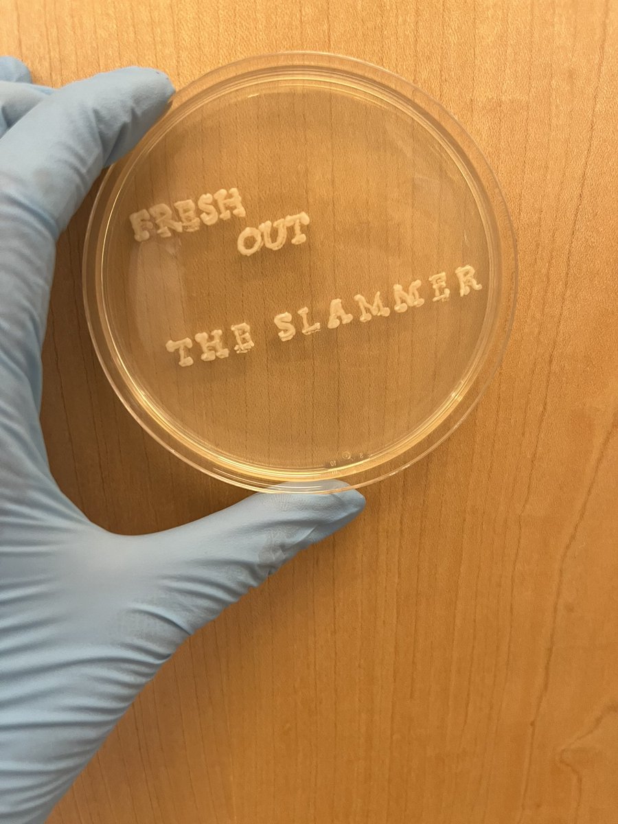 Fresh Out The Slammer Like #TSTheErasTour in ✌️days! @taylornation13 #AgarArt #SwiftiesInSTEM