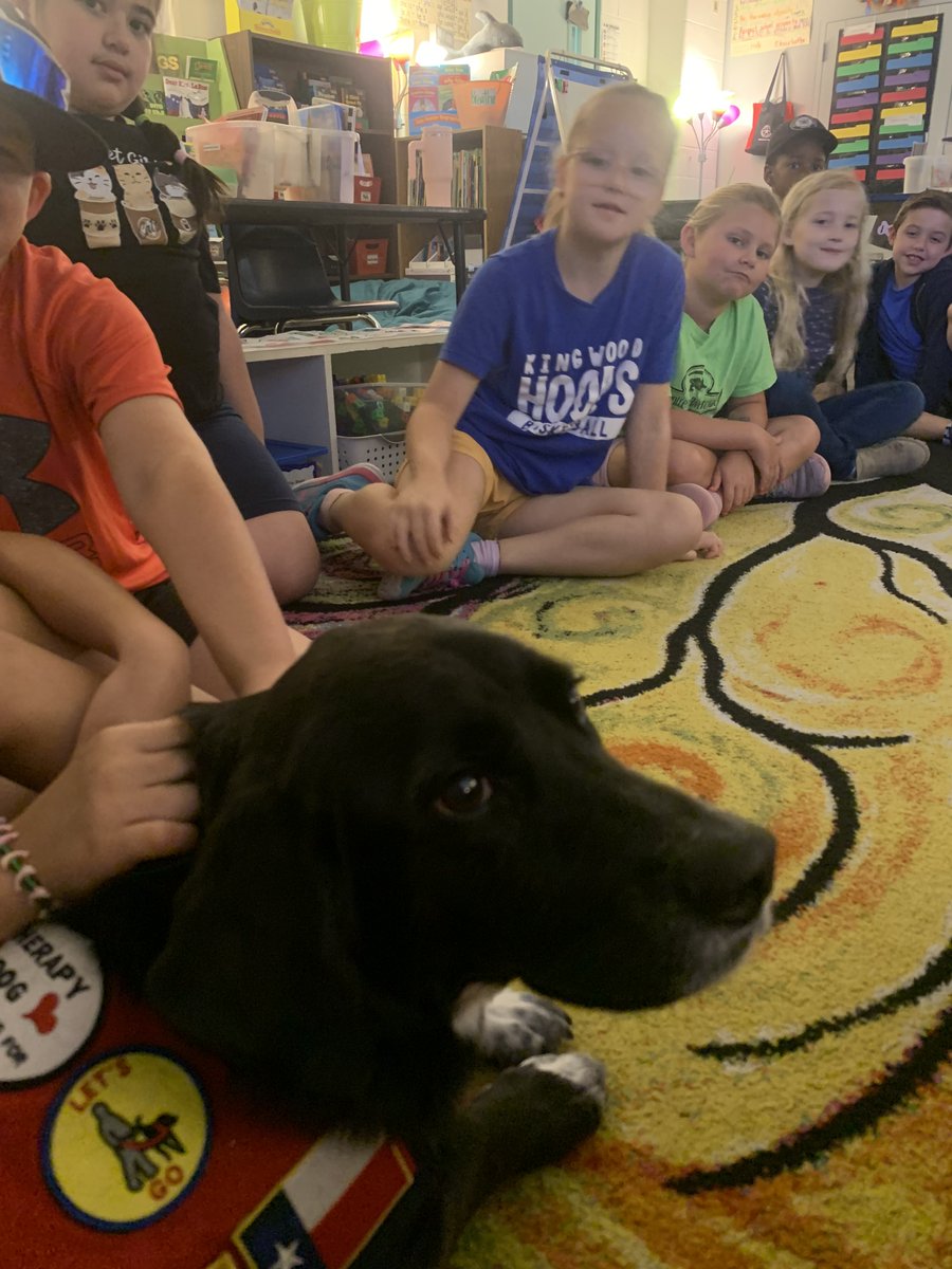 Roxi the comfort dog is happy to join Community Time at @HumbleISD_SFE for a problem-solving circle.