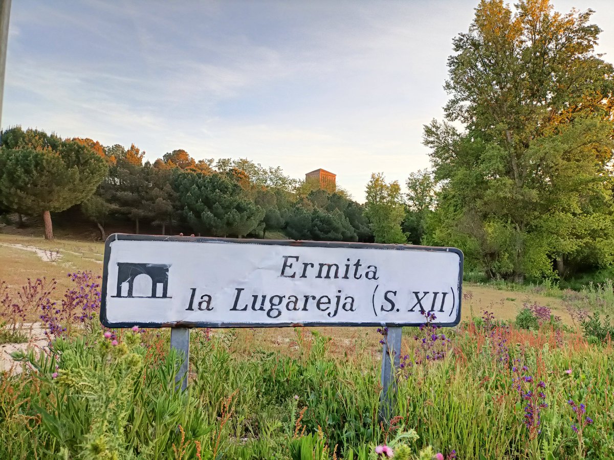 oscarranlo's tweet photo. Tras ese acceso de somieres y ferralla, está el camino de la Ermita de la Lugareja. Románico-mudéjar del s.XII en Arévalo #Ávila. Ubicada en una finca particular se restringe el acceso a 1 hora semanal (miércoles a las 13.00). Una joya oculta en una maraña legal. Abro 🧵 https://t.co/wifP6RwCGs