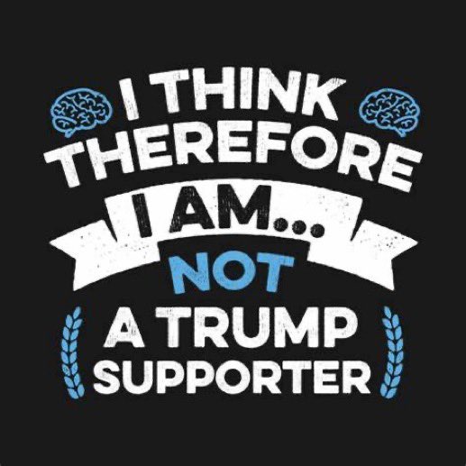 #wtpBLUE #wtpGOTV24 #DemVoice1 I’m proud to say I have never been a supporter of Tfg. I never liked him. He’s racist, misogynistic and a big whiny baby! 😭👶 He is one of the worst narcissists on the planet! #JailTrump I’m voting for Joe! #BetonBiden