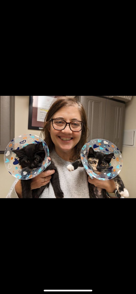 Two kittens are always better than one! Poppy and Phlox were adopted together and now they get to grow up together 🥰 #animalshelter #animalshelters #fpas #rescuelife #sheltercats #rescuecats #sheltercat #rescuecat #animalrescue #rescue #PleaseShare #foreverpawsfamily #adopt