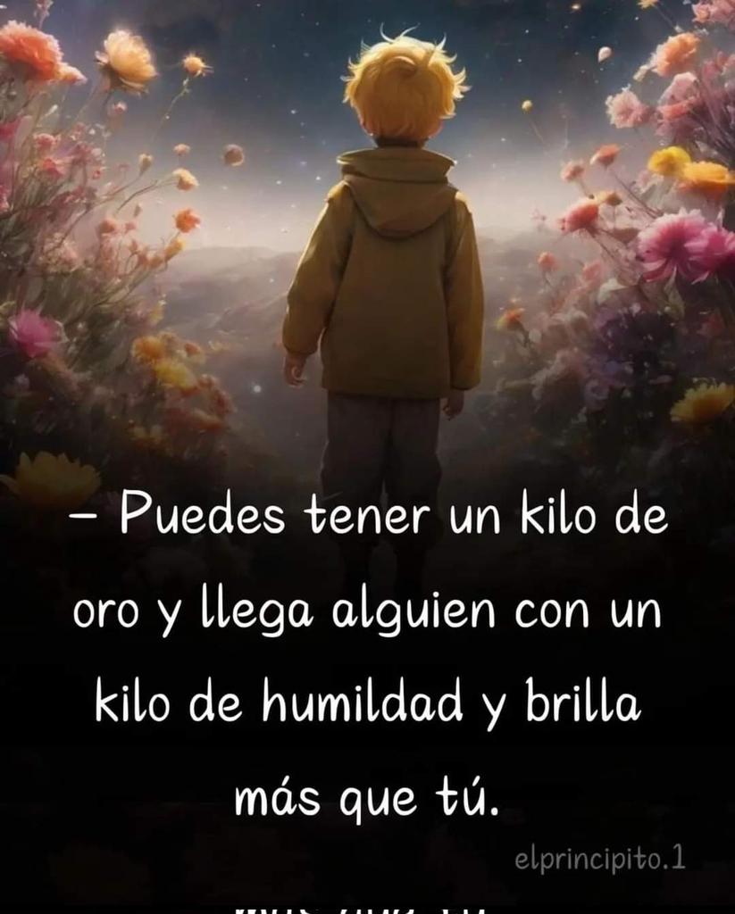 vibracosmos's tweet photo. El Principito... https://t.co/eosB0BD8w5
