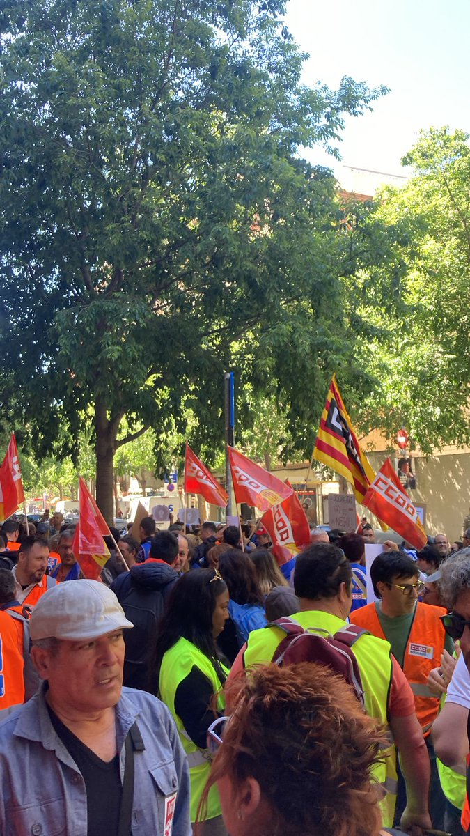 MireiaCCOO's tweet photo. '" Quan els treballadors fan vaga no és que no vulguin treballar,sinó que volen fer-ho en millors condicions".... Frances Layret #discapacitatenlluita #ccooeducacio https://t.co/IY1IU2BwDW