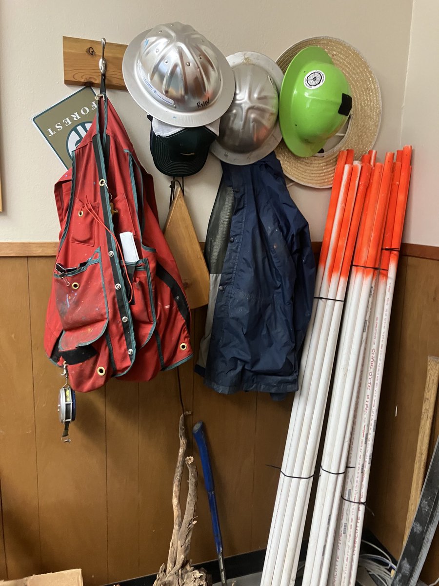 Susie Kocher tweet media